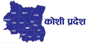 स्मार्ट बोर्डमा चम्किँदै विद्यार्थीको भविष्य,  डिजिटल पूर्वाधारमा फड्को मार्दै कोशी प्रदेश