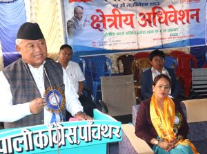 सरकारले लोकतन्त्रको मर्मलाई पालना गर्नुपर्छ : आङदेम्बे
