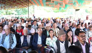 पाँचथरमा काँग्रेसका पाँच महाधिवेशन प्रतिनिधि निर्विरोध, २९ पदका लागि मतदान हुने
